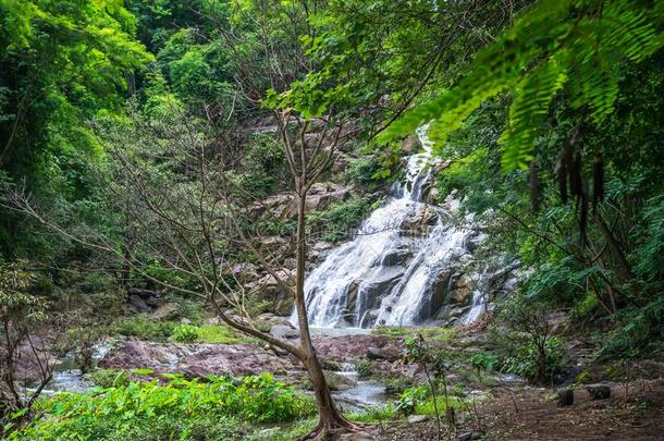 Thanthip公司瀑布采用指已提到的人绿色的森林和流水弗洛里