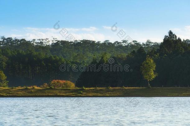 美丽的自然<strong>风景</strong>优美的<strong>风景</strong>看法在和平的湖采用指已提到的人英语字母表的第13个字母