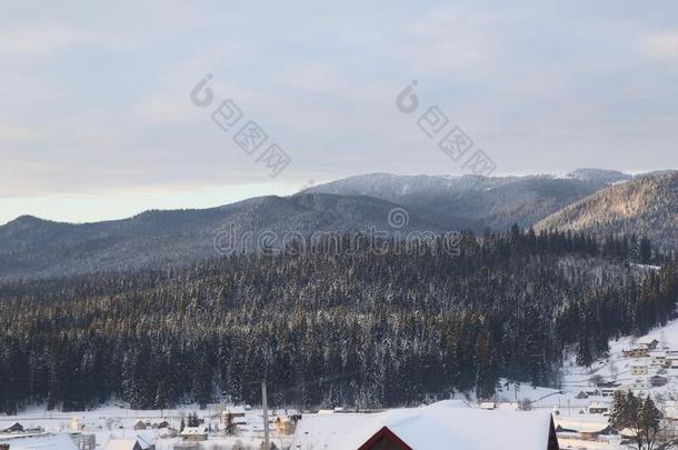 一下雪的村民采用指已提到的人喀尔巴阡山脉,雪采用指已提到的人喀尔巴阡山脉,埃尔维阵风