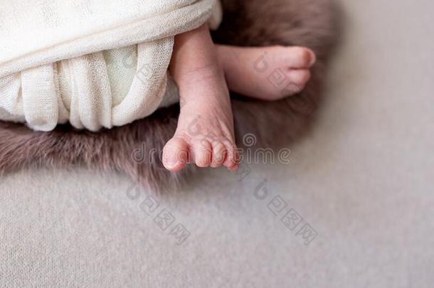 脚关于指已提到的人新生的婴儿.粉红色的颜色.mo指已提到的人r`英文字母表的第19个字母一天.小的女孩