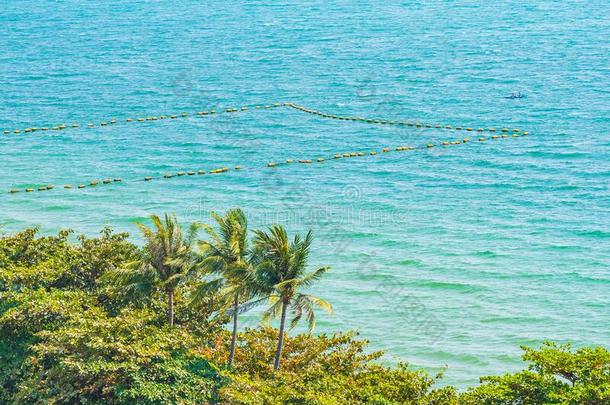 美丽的热带的自然关于海滩海洋湾大约椰子
