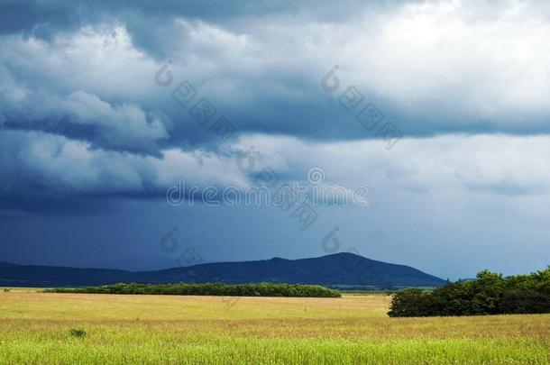 暴风雨侵入向小麦田