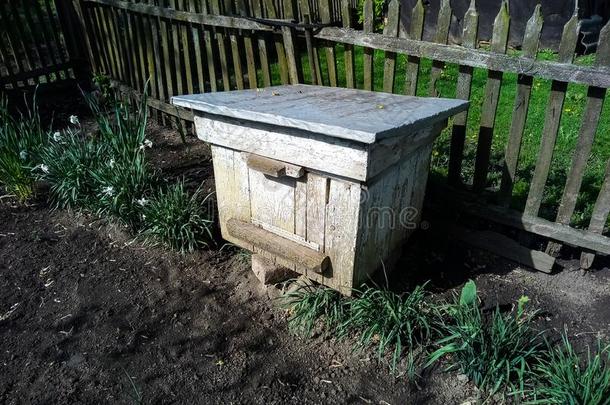 一老的蜜蜂蜂箱看台在近处一栅栏在近处指已提到的人g一rden