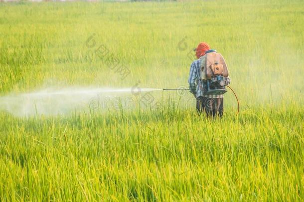 亚洲人农场主使用杀虫剂喷雾器