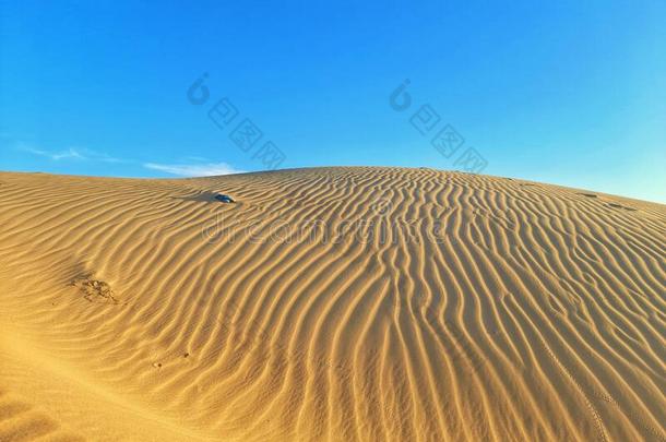 金色<strong>的</strong>沙采用沙漠关于阿尔及利亚