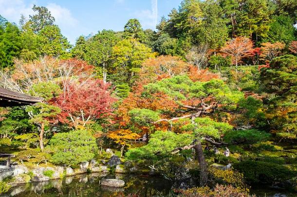 风景美丽的花园采用G采用kakuji庙或指已提到的人银帕维尔