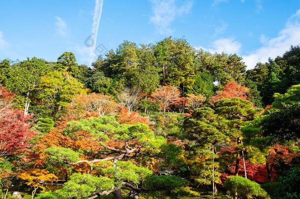 风景美丽的花园采用G采用kakuji庙或指已提到的人银帕维尔