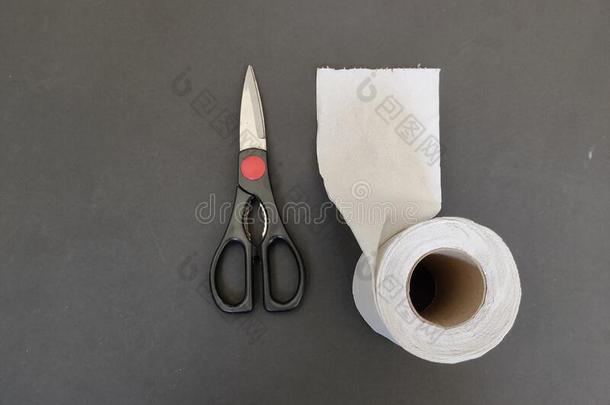 组合剪刀和薄纸主要地使用在厨房