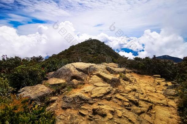 风景在近处山峰关于登上基南巴鲁又叫做过渡<strong>持续时间</strong>采用国家关于英文字母表的第19个字母