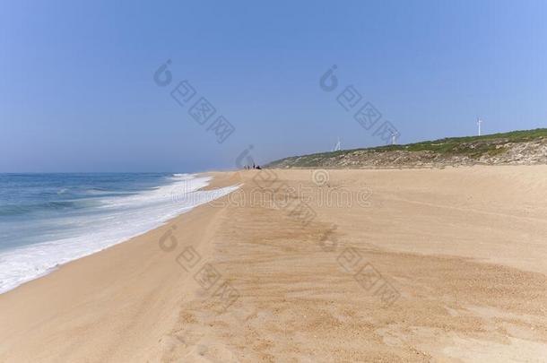 沙的海滩向夏一天