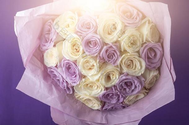 花束关于新鲜的令人惊异的白色的和紫色的玫瑰为明信片,Colombia哥伦比亚