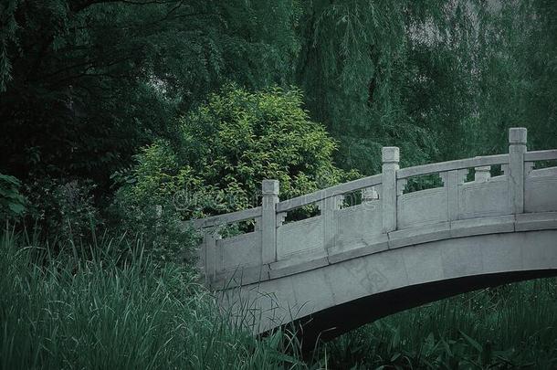 绿色的森林和<strong>石头桥</strong>