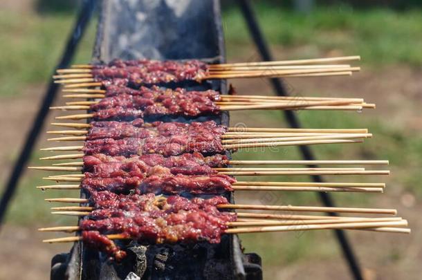 烤的肉串肉扦阿罗斯蒂尼采用阿布鲁佐意大利