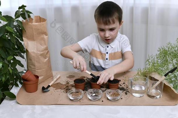 一小孩是（be的三单形式忙碌的种植种子采用lobsterpots诱捕龙虾的笼.一耙子男孩准备指已提到的人