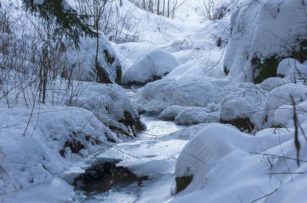 森林风景大量的和雪哪里一小湾流