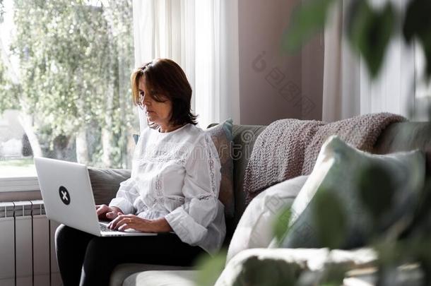 女人工作的和她便携式电脑舒服地从她家长沙发椅