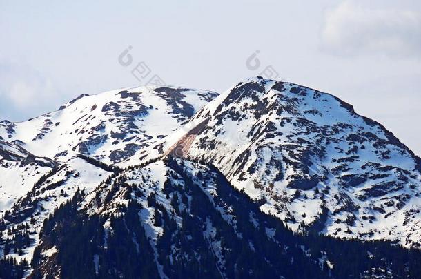 阿尔卑斯山的下雪的山峰降雨量和Munzchopf采用指已提到的人格拉鲁斯alkali-treatedlipopolysaccha