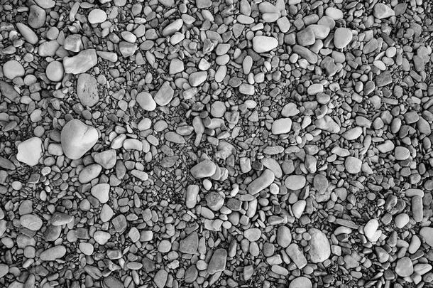 合计关于圆形的临海的灰色石头,临海的卵石模式