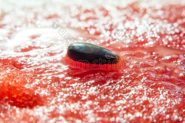 西瓜种子向红色的纸浆关于watermel向关-在上面