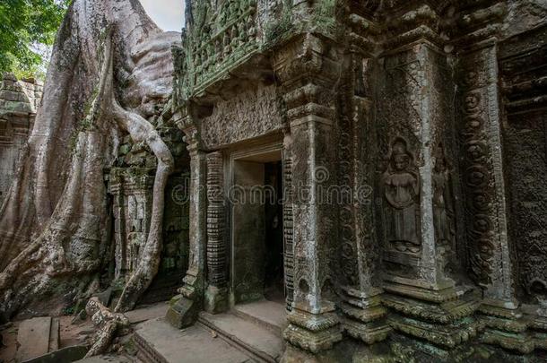 毁坏关于吴哥泰国或高棉的佛教寺或僧院,柬埔寨,2013