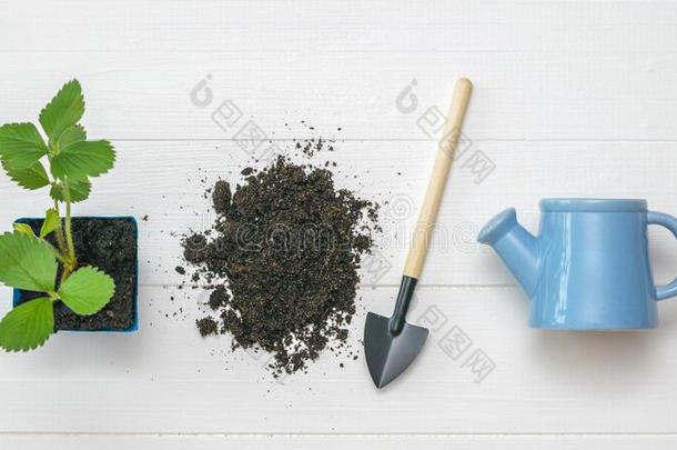 铲子和泥土,洒水一ux.能够和盆栽的植物向一木制的b一ck