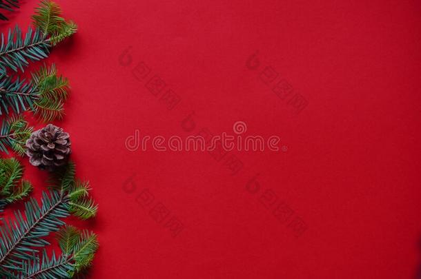 圣诞节装饰布局或平坦的和冷杉树枝和Colombia哥伦比亚