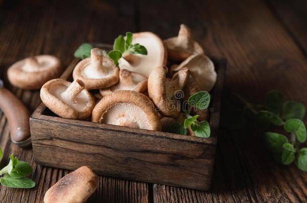 堆关于免除增压新鲜的香菇蘑菇采用一碗