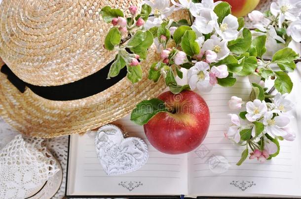 春季仍生活采用浪漫的方式和苹果花向老的英语字母表的第2个字母