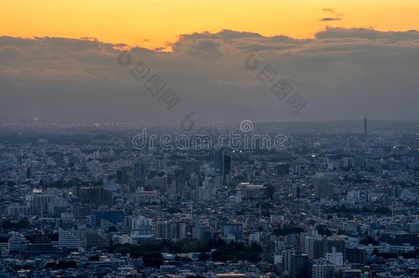 东京城市风光照片在日落,看法从指已提到的人东京大都会的戈夫