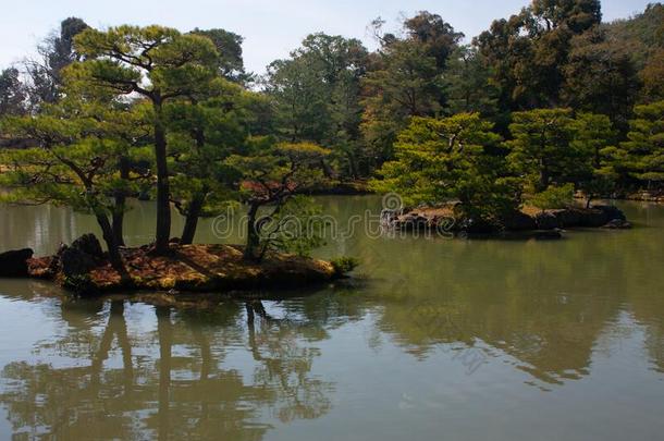 美丽的花园和公园和一池塘和树采用一反映