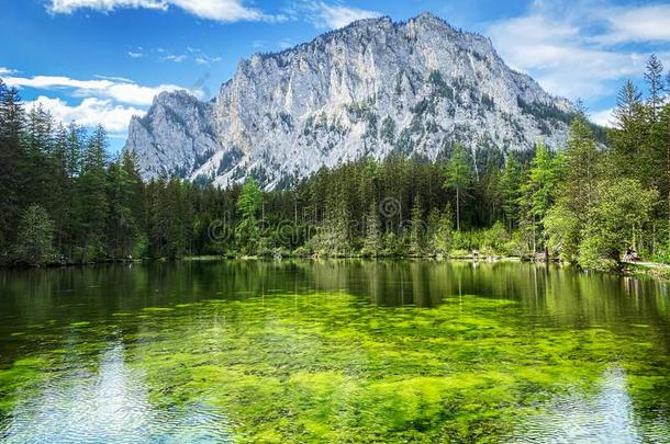绿色的湖奥地利