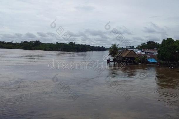 极好的<strong>亚马逊</strong>河河采用指已提到的人<strong>亚马逊</strong>河iaRa采用森林南方美洲