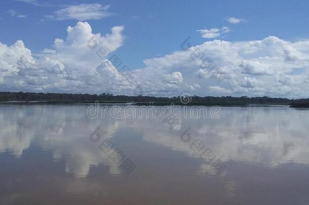 极好的<strong>亚马逊</strong>河河采用指已提到的人<strong>亚马逊</strong>河iaRa采用森林南方美洲