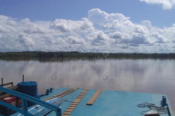 极好的亚马逊河河采用指已提到的人亚马逊河iaRa采用森林南方美洲