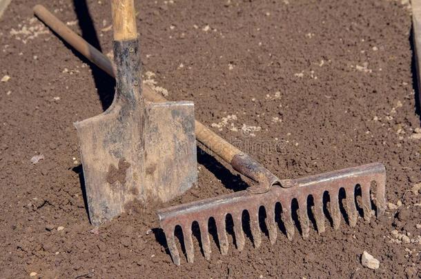 手铲子和<strong>耙子</strong>.花园工具在之前春季种植.手