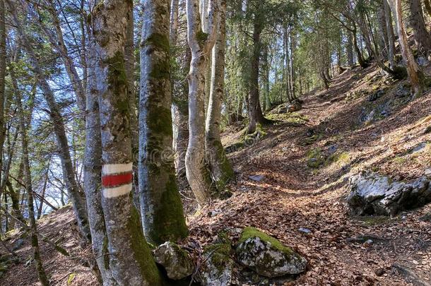 登山指示牌和成交量和价格记录向指已提到的人斜坡关于指已提到的人丘尔夫