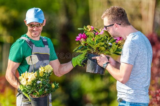 两个男人挑选植物为景观美化工作