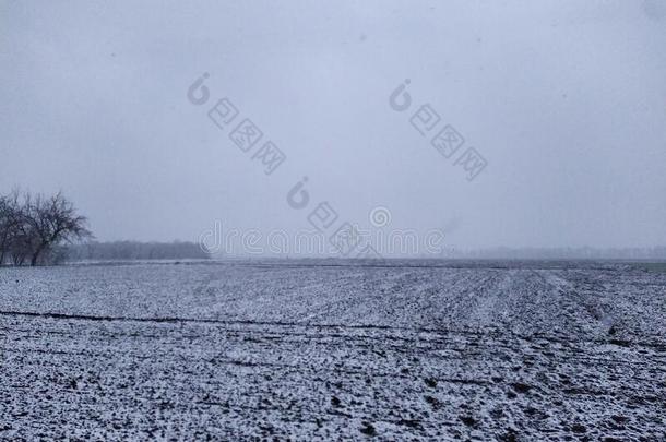 乡下的田在下雪的冬时间