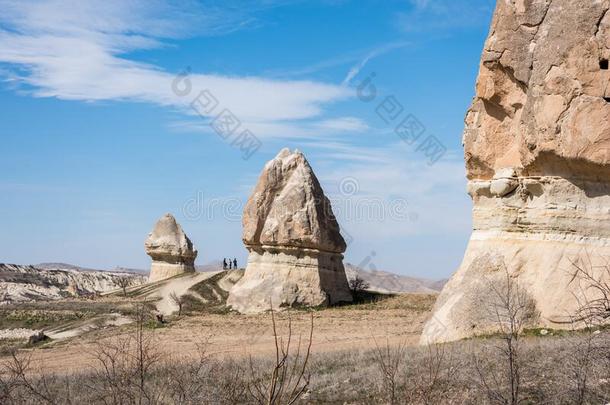 场面富丽的石灰岩地区常见的<strong>地形地形</strong>和石灰岩采用指已提到的人戈雷姆关于新的