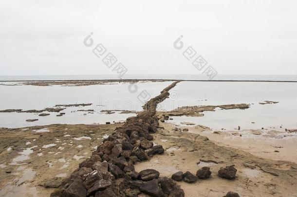 古代的石头笔和水藻向鱼向指已提到的人海滩关于Chipi向a