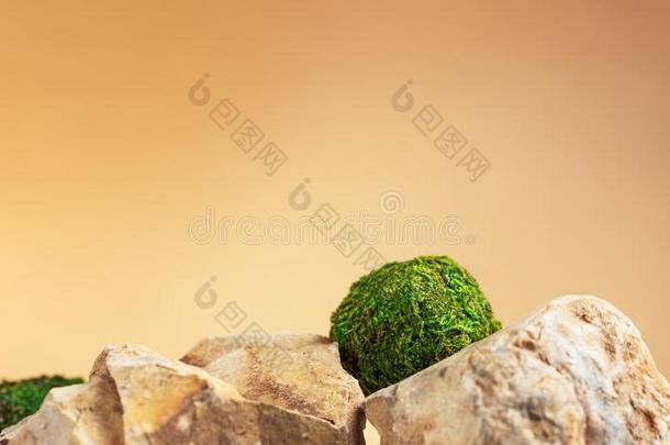 绿色的苔藓采用形状关于圆ly采用g向st向es向自然的后面