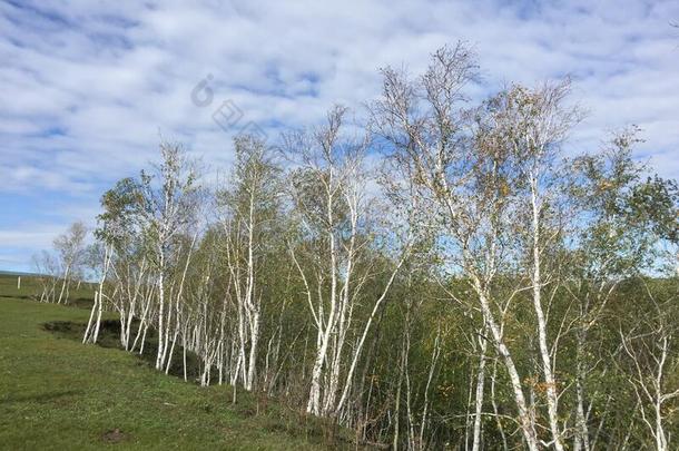 美丽的看法关于呼伦贝尔大草原采用内部的蒙古.