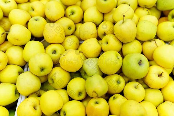 地方的生产黄色的<strong>苹果</strong>显示为卖在指已提到的人交易.或