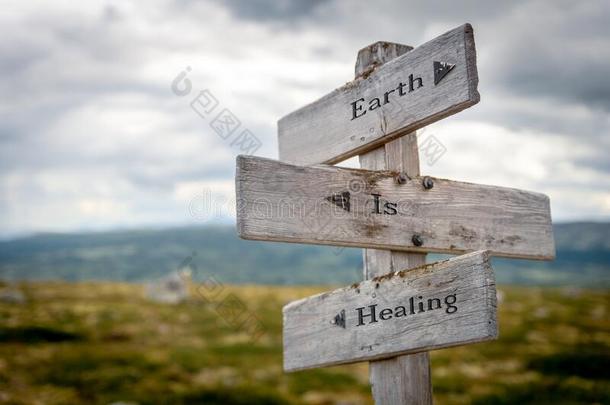 地球是（be的三单形式康复文本在上雕刻向老的木制的指示牌在户外我