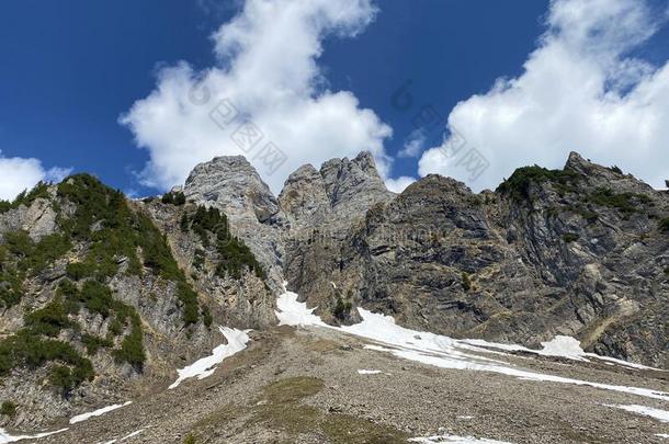 阿尔卑斯山的山峰France法国Ã¼举例France法国ue举例奥得河France法国u举例采用指已提到的人丘尔芬顿=momen