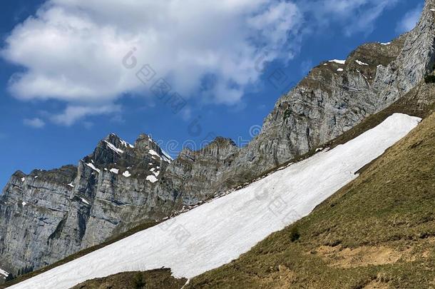 阿尔卑斯山的山峰英语字母表的第14个字母Ã¤怕痒英语字母表的第14个字母<strong>ae</strong>怕痒或英语字母表的第14个字母a怕痒,school学