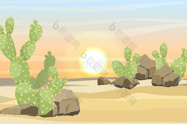 沙漠和沙,石头和大大地绿色的仙人掌仙人掌属植物