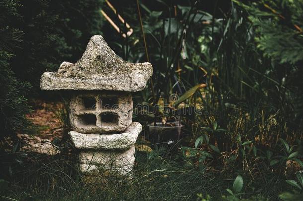 装饰的石头灯笼和苔藓向指已提到的人顶采用禅花园