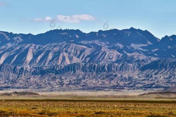 牧草地采用指已提到的人mounta采用s关于蒙古.风景关于蒙古,爸