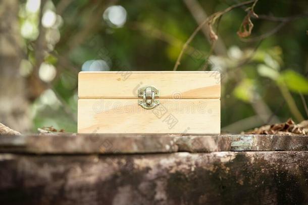 小的木制的盒和金属门闩采用自然的户外的灌木sett采用
